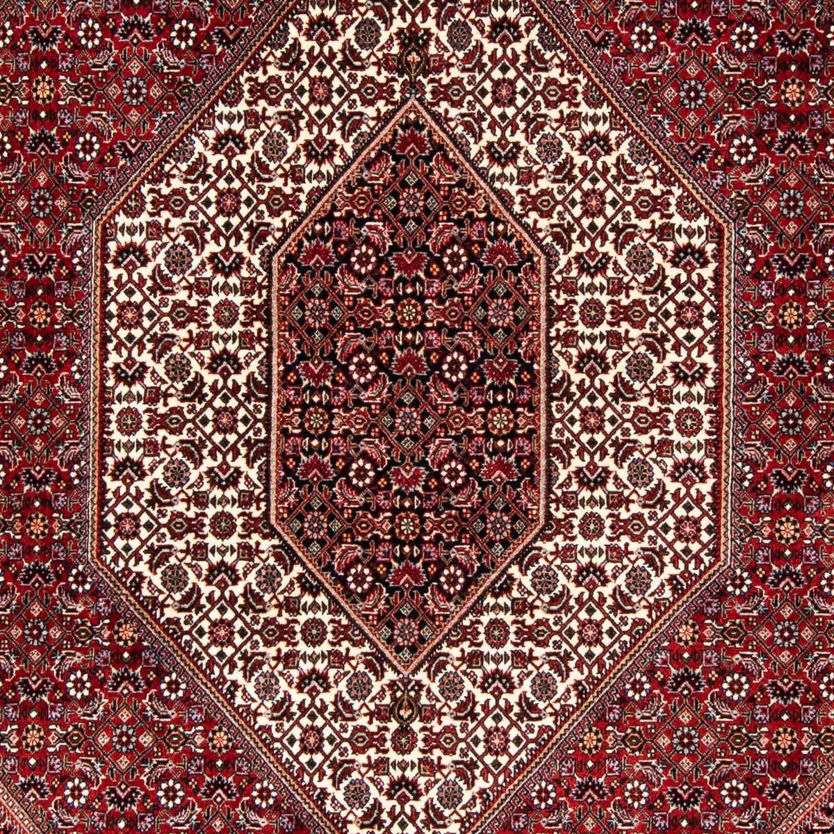 Perzisch tapijt - Bijar - 243 x 167 cm - rood