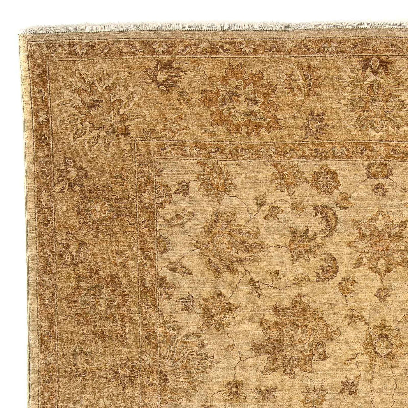 Ziegler tapijt 317x236cm - Oosters Tapijt