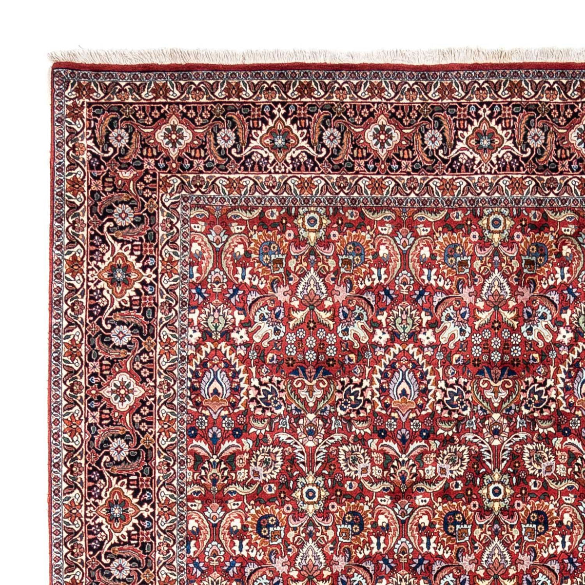 Perzisch tapijt - Bijar - Koninklijk - 343 x 255 cm - rood