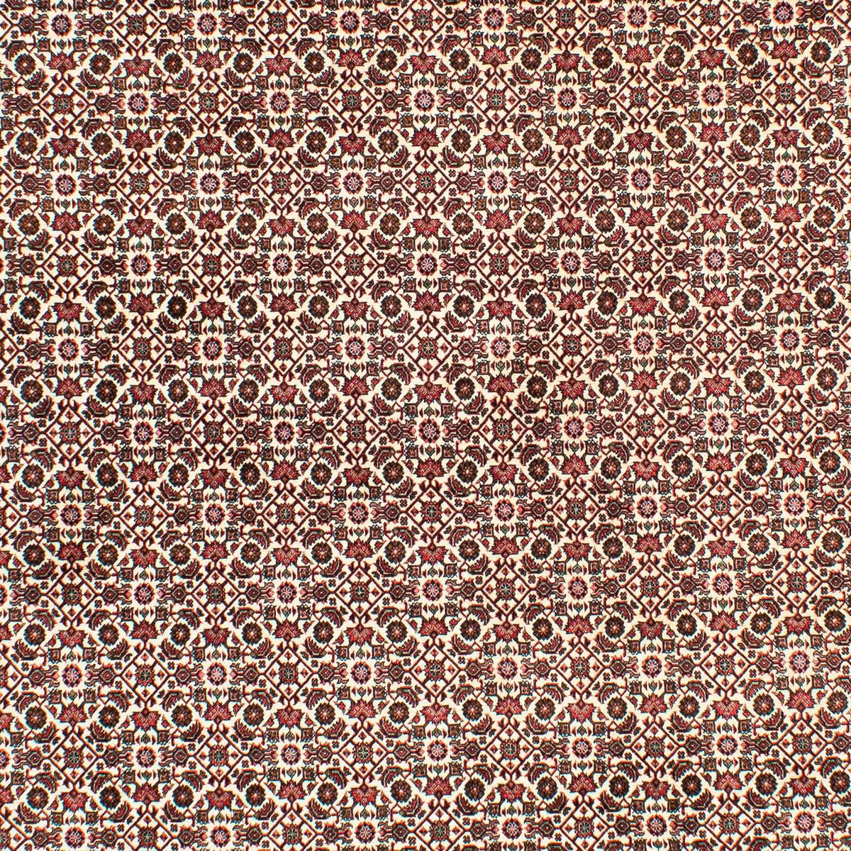 Perzisch tapijt - Bijar - 294 x 200 cm - beige