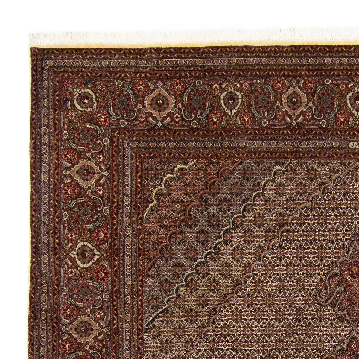 Perzisch tapijt - Tabriz - 353 x 245 cm - bruin