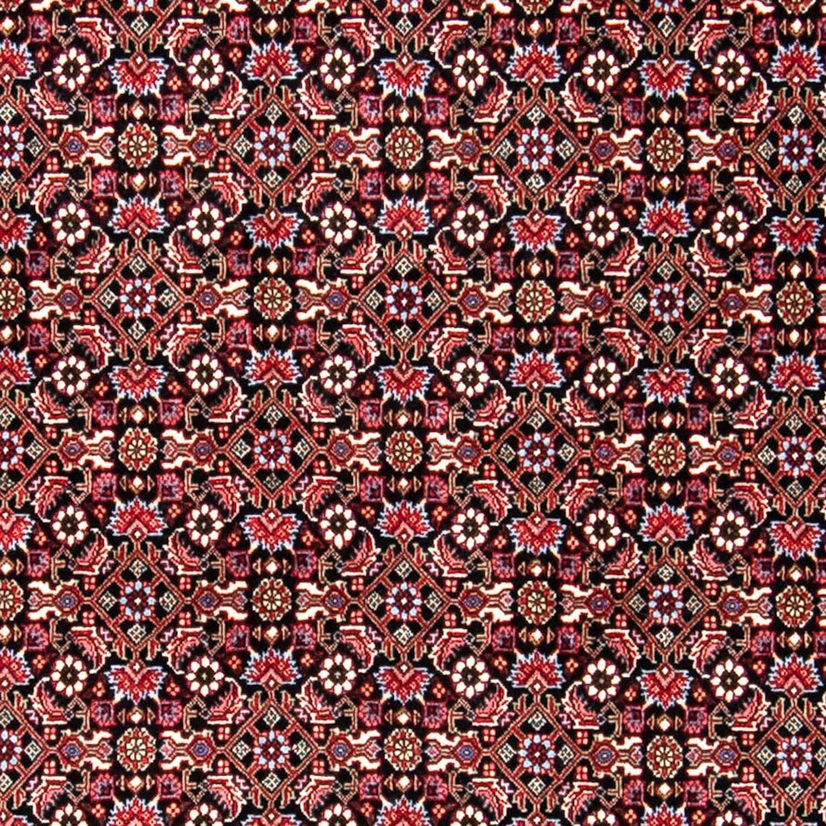 Perzisch tapijt - Bijar - 250 x 168 cm - rood