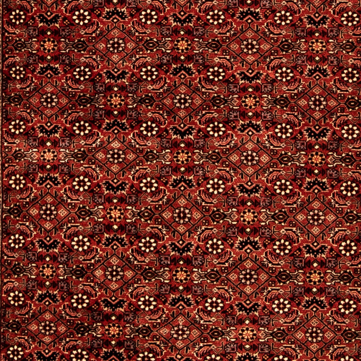 Loper Perzisch tapijt - Bijar - 293 x 84 cm - donkerrood