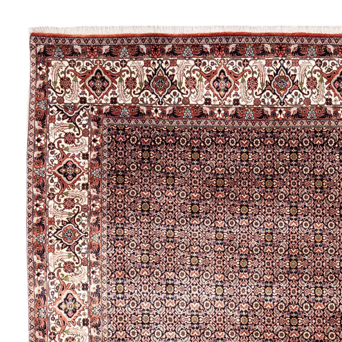 Bidjar - Takab Tapijt 259x341cm - Perzisch tapijt