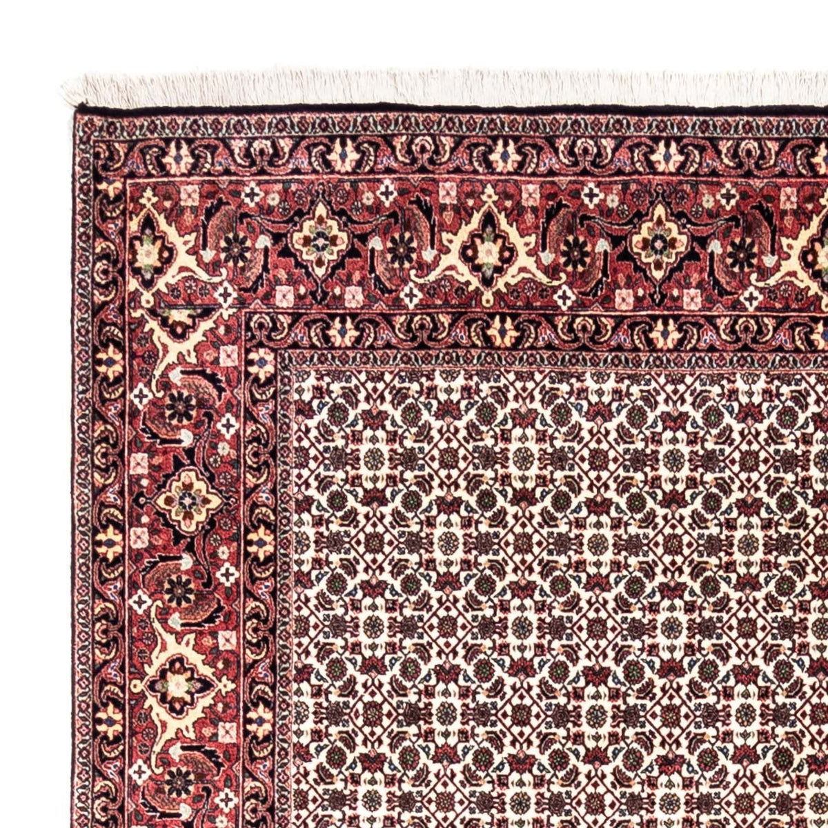 Perzisch tapijt - Bijar - Koninklijk - 296 x 204 cm - beige