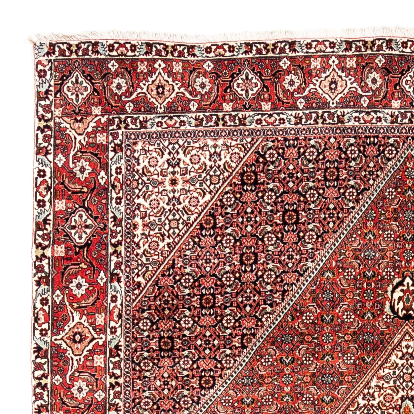 Bidjar - Takab Tapijt 285x195cm - Perzisch tapijt