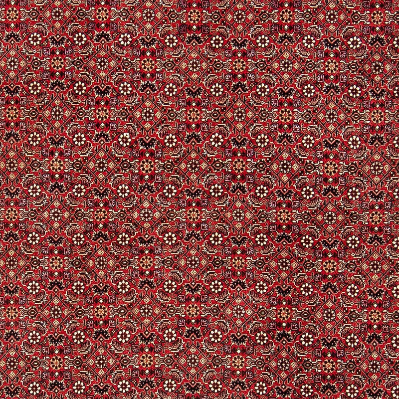 Perzisch tapijt - Bijar - 248 x 174 cm - rood