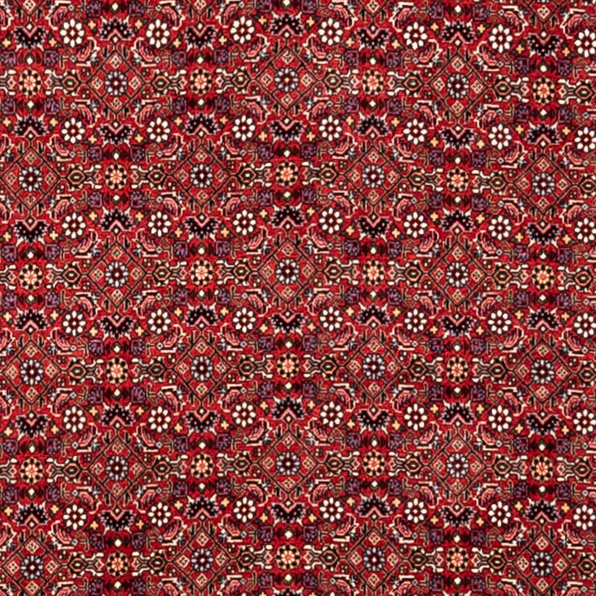 Perzisch tapijt - Bijar - Koninklijk - 340 x 252 cm - rood
