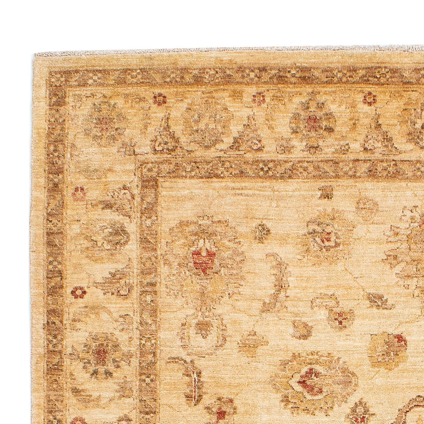Ziegler tapijt 229x168cm - Oosters Tapijt