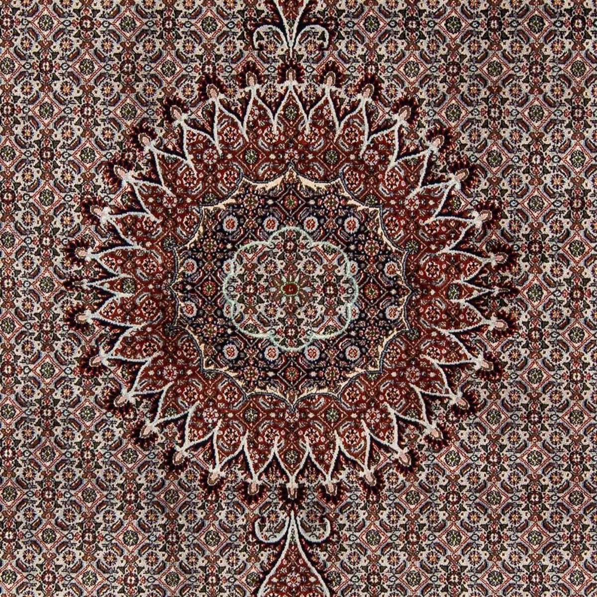 Perzisch tapijt - Klassiek - 284 x 201 cm - beige