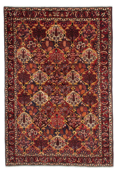 Bakhtiari Tapijt 211x305cm - Perzisch tapijt