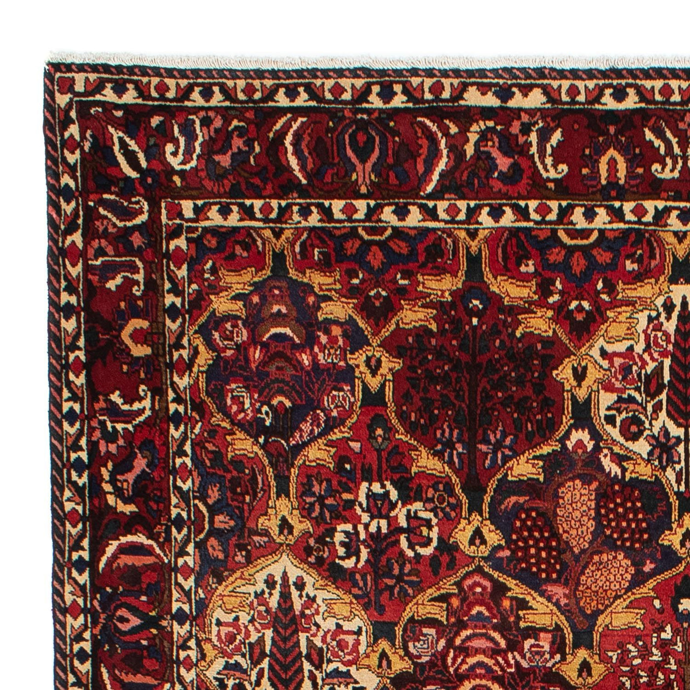Bachtiar Tapijt 305x211cm - Perzisch tapijt