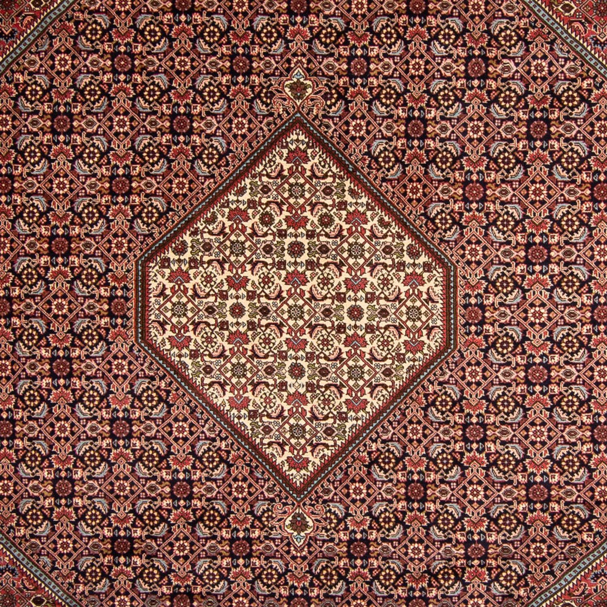Perzisch tapijt - Bijar - 340 x 252 cm - bruin