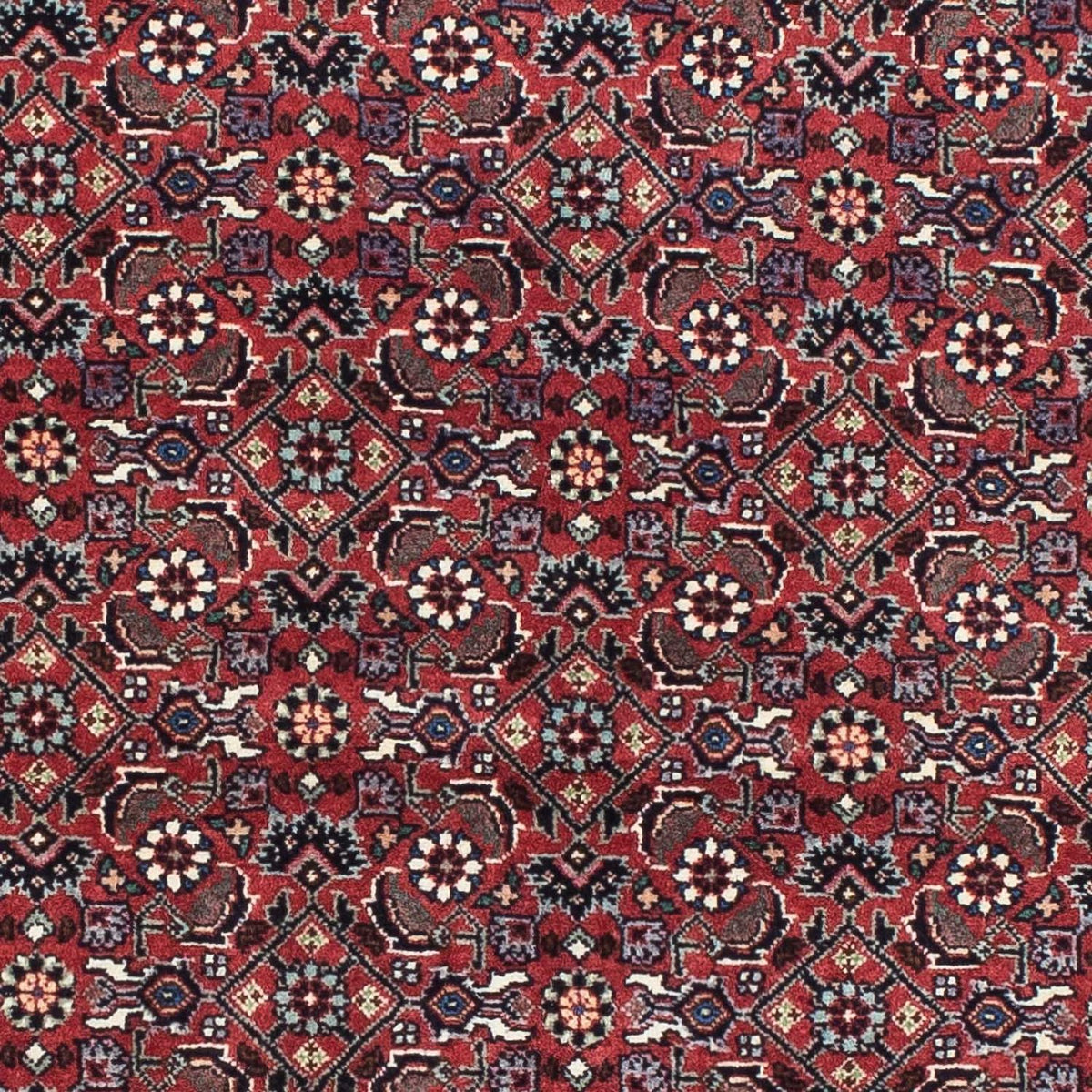 Perzisch tapijt - Bijar - 193 x 176 cm - rood