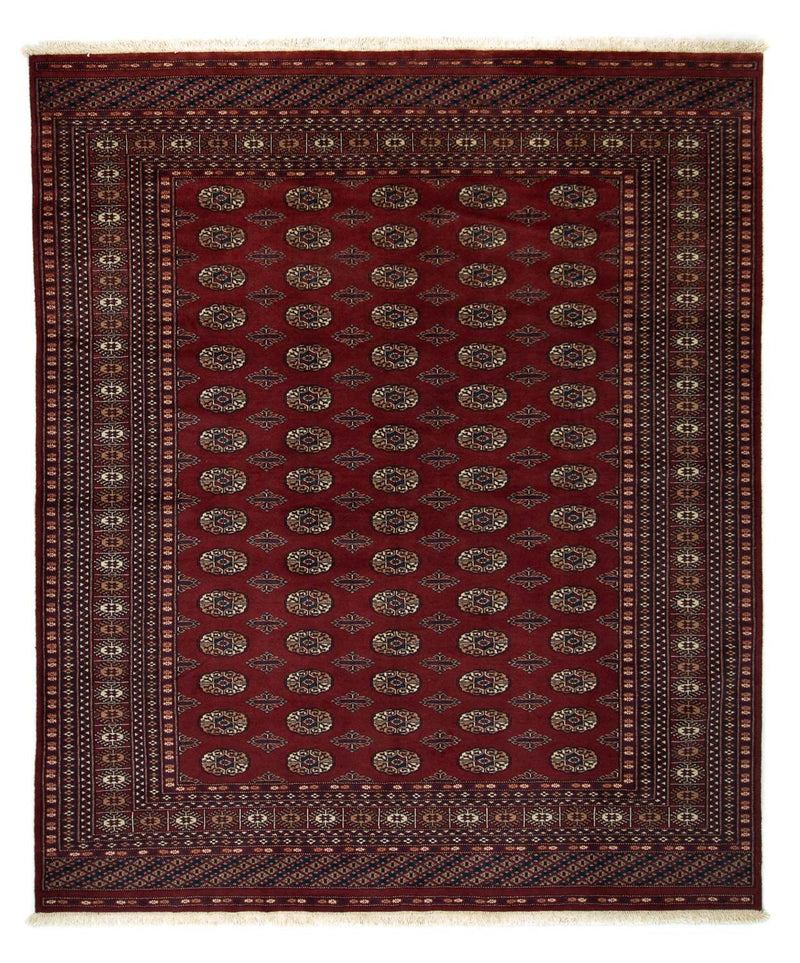 Afghaans tapijt - Bukhara - 244 x 205 cm - rood