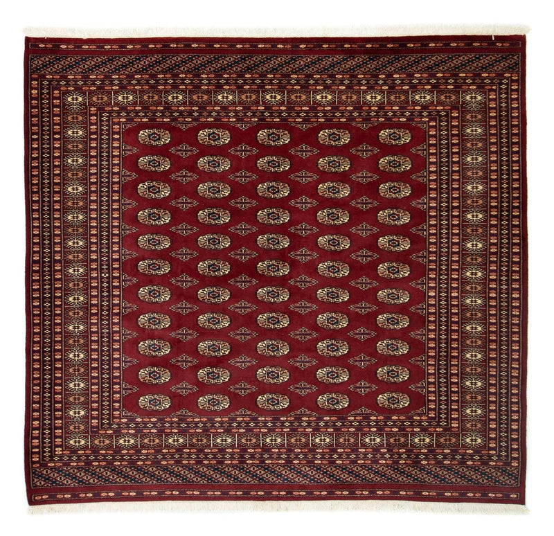 Afghaans tapijt - Bukhara vierkant  - 205 x 193 cm - rood