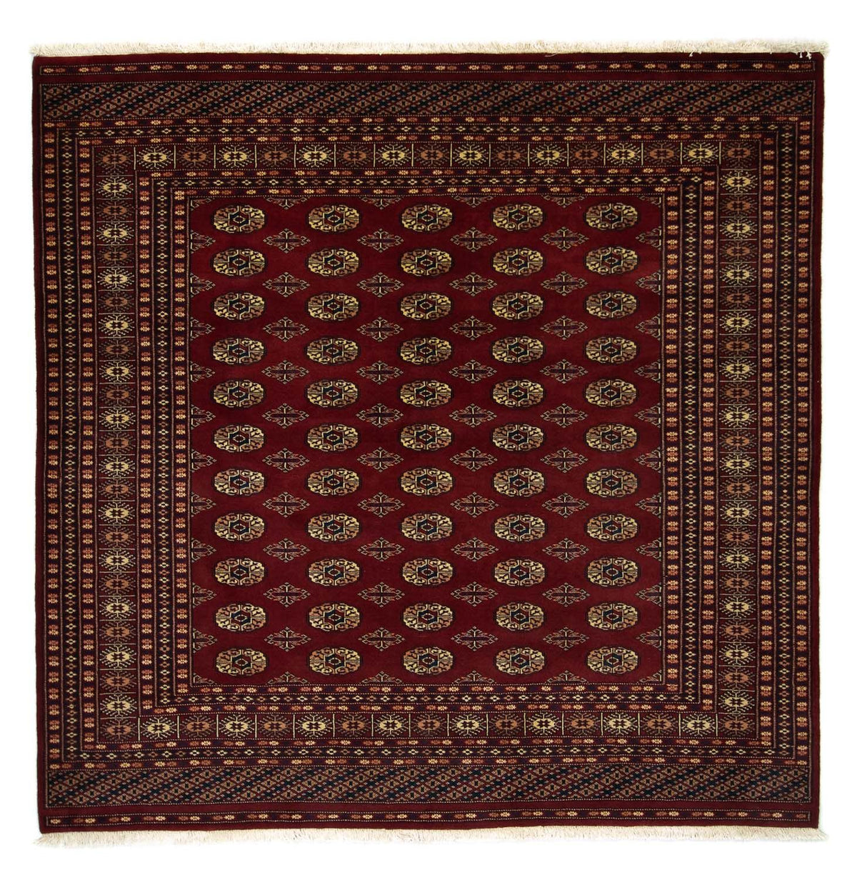 Afghaans tapijt - Bukhara vierkant  - 205 x 205 cm - rood