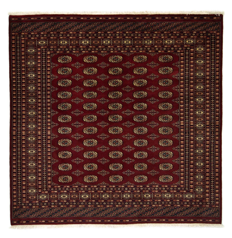 Afghaans tapijt - Bukhara vierkant  - 205 x 205 cm - rood