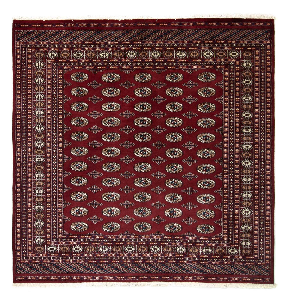 Afghaans tapijt - Bukhara vierkant  - 203 x 199 cm - rood