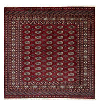 Afghaans tapijt - Bukhara vierkant  - 203 x 199 cm - rood