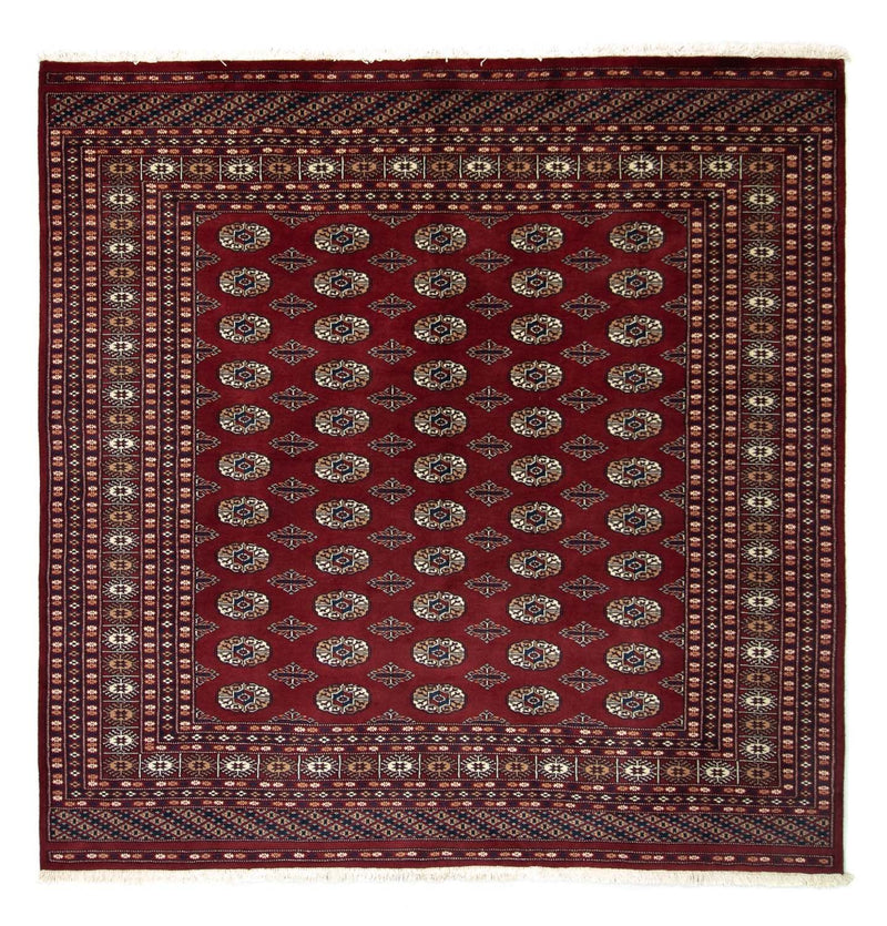 Afghaans tapijt - Bukhara vierkant  - 203 x 199 cm - rood