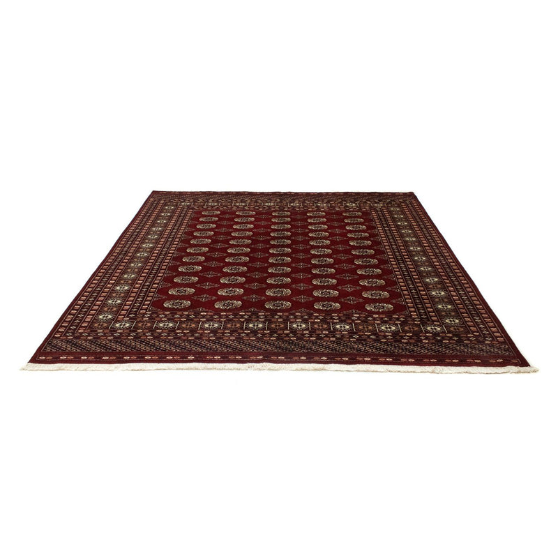 Afghaans tapijt - Bukhara vierkant  - 203 x 199 cm - rood