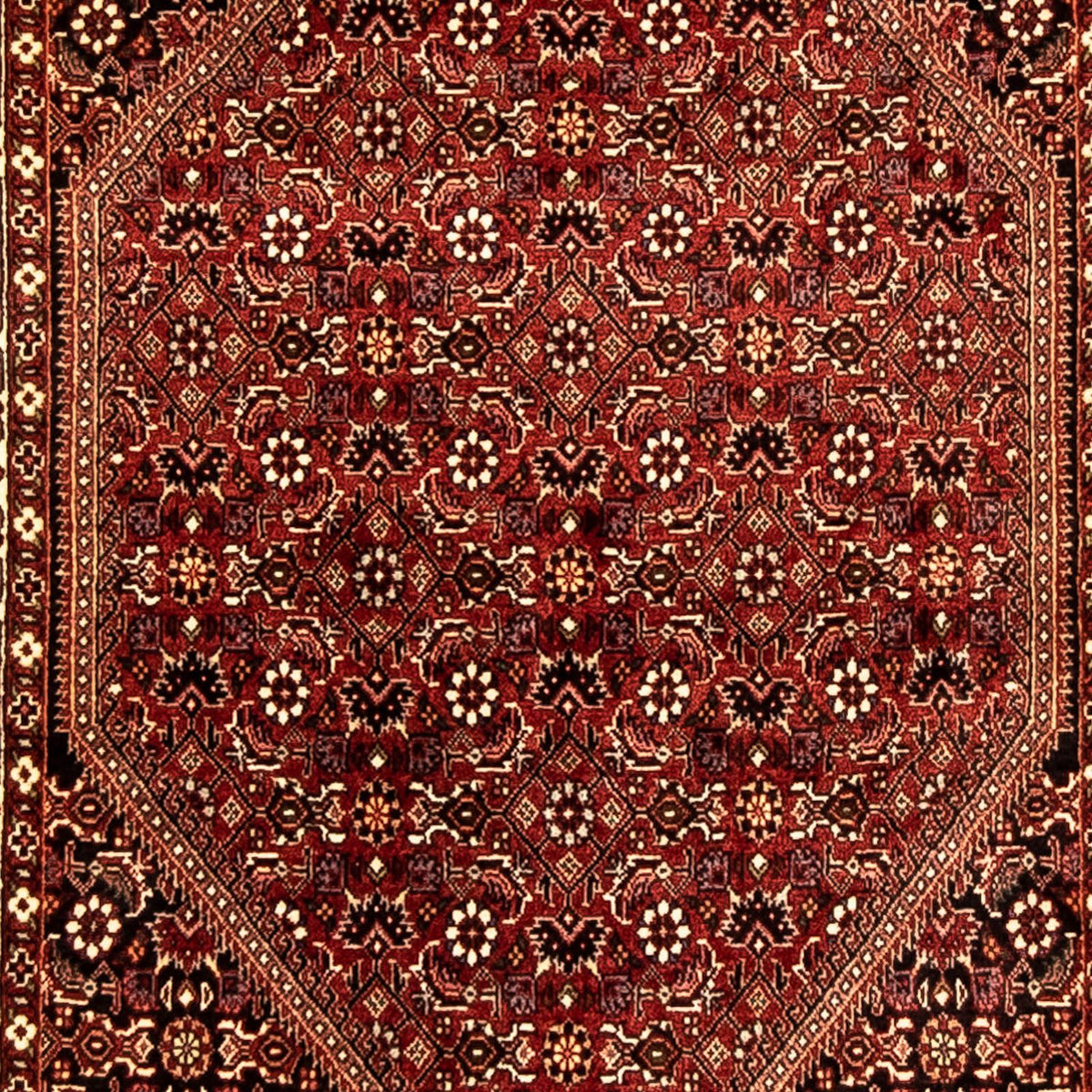 Loper Perzisch tapijt - Bijar - 292 x 80 cm - veelkleurig