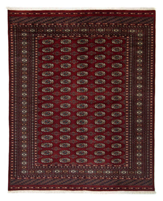 Afghaans tapijt - Bukhara - 244 x 198 cm - rood