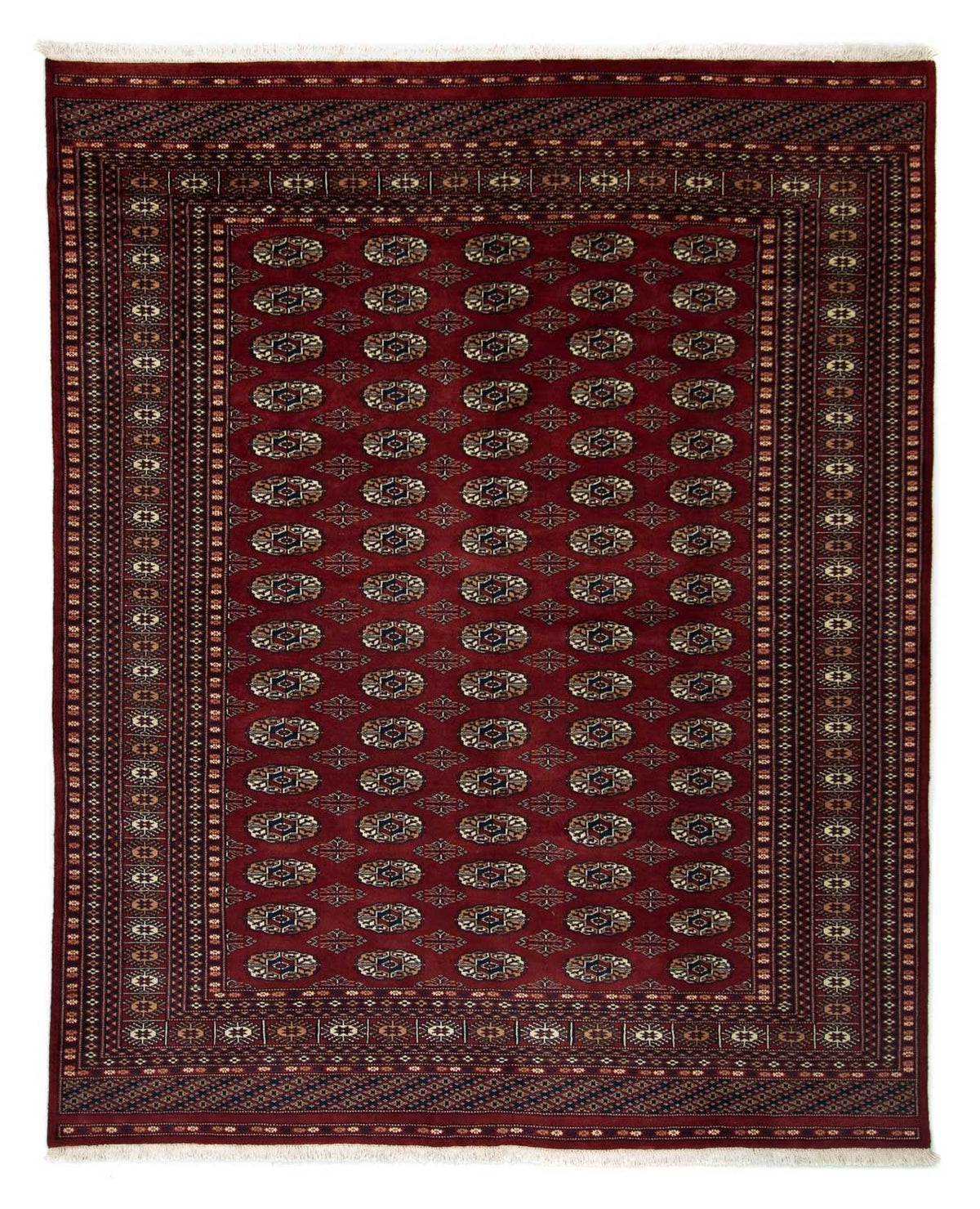 Afghaans tapijt - Bukhara - 244 x 198 cm - rood