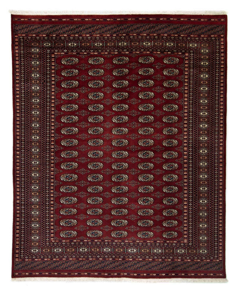 Afghaans tapijt - Bukhara - 244 x 198 cm - rood