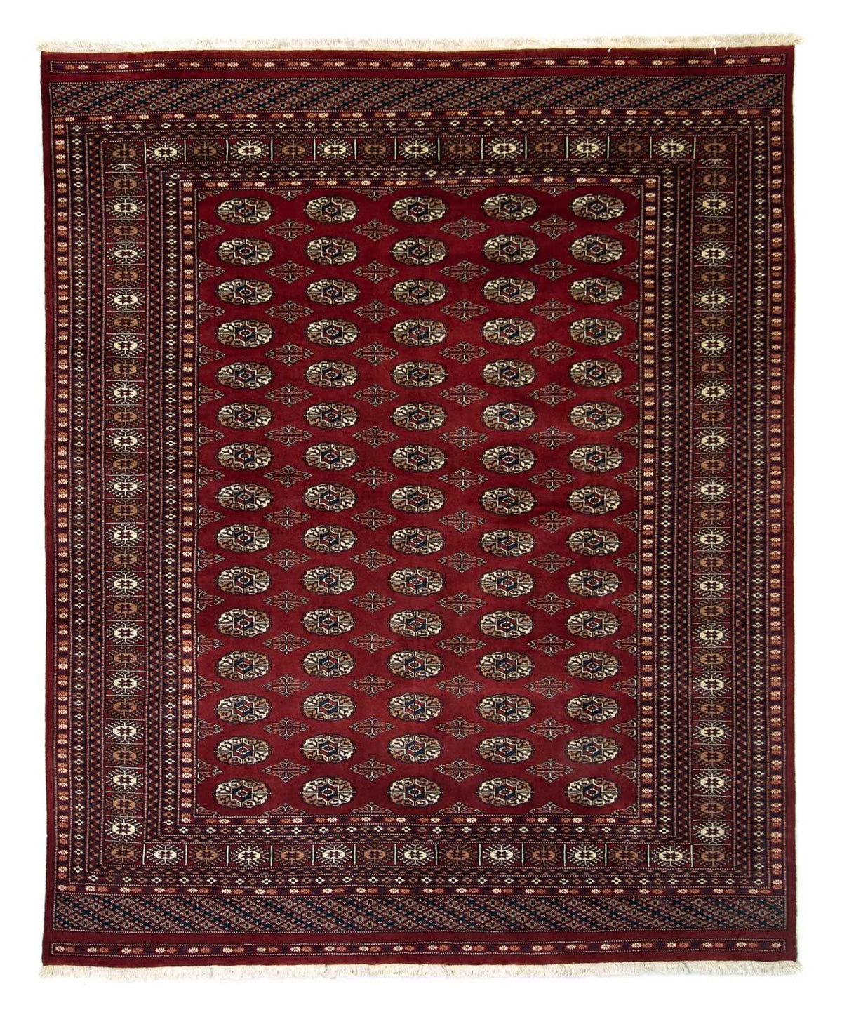 Afghaans tapijt - Bukhara - 241 x 197 cm - rood