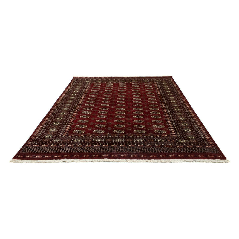 Afghaans tapijt - Bukhara - 241 x 197 cm - rood
