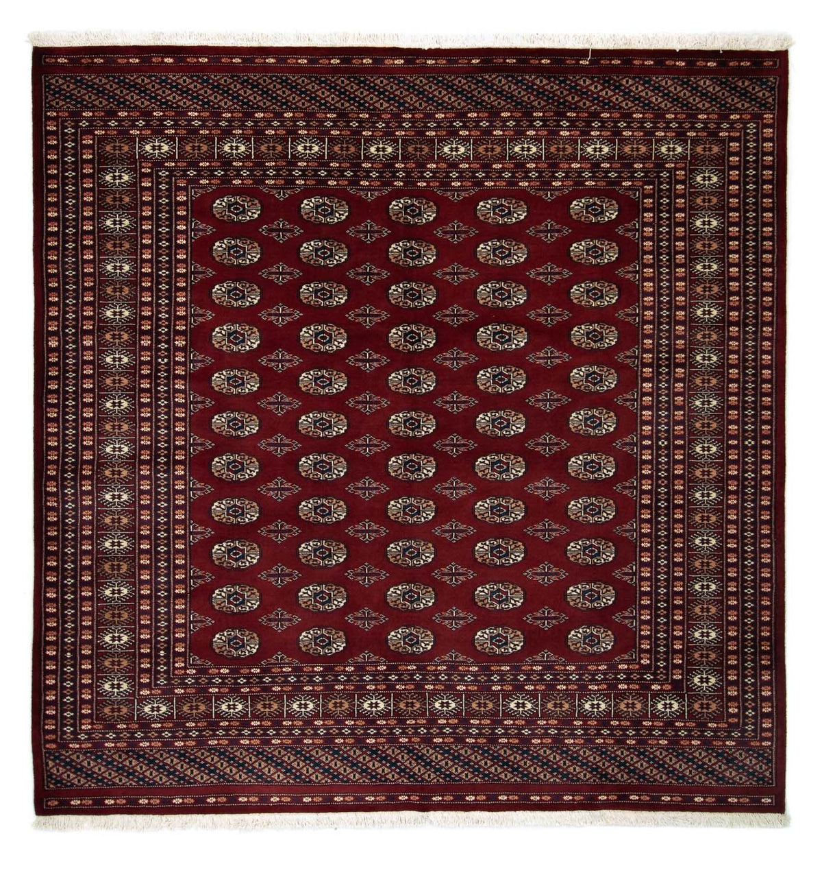 Afghaans tapijt - Bukhara vierkant  - 207 x 204 cm - rood