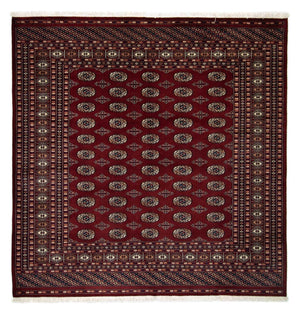 Afghaans tapijt - Bukhara vierkant  - 207 x 204 cm - rood