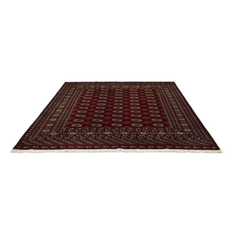 Afghaans tapijt - Bukhara vierkant  - 207 x 204 cm - rood