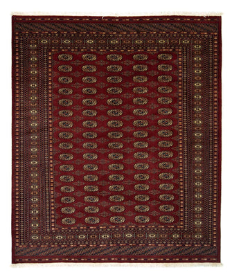 Afghaans tapijt - Bukhara - 240 x 203 cm - rood