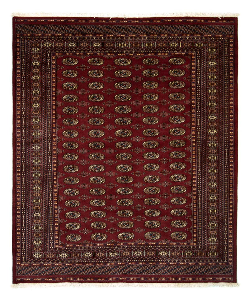 Afghaans tapijt - Bukhara - 240 x 203 cm - rood