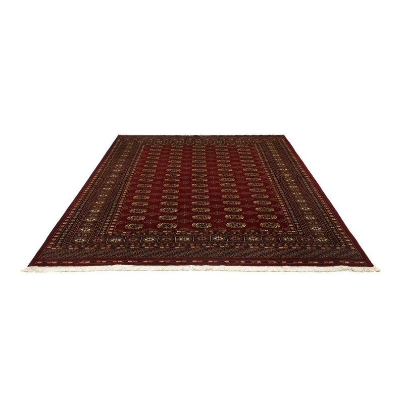 Afghaans tapijt - Bukhara - 240 x 203 cm - rood