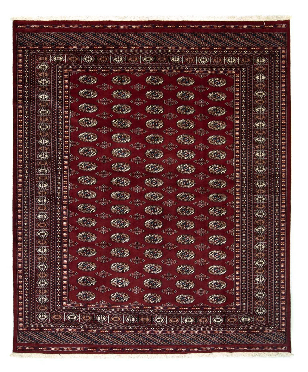 Afghaans tapijt - Bukhara - 238 x 200 cm - rood