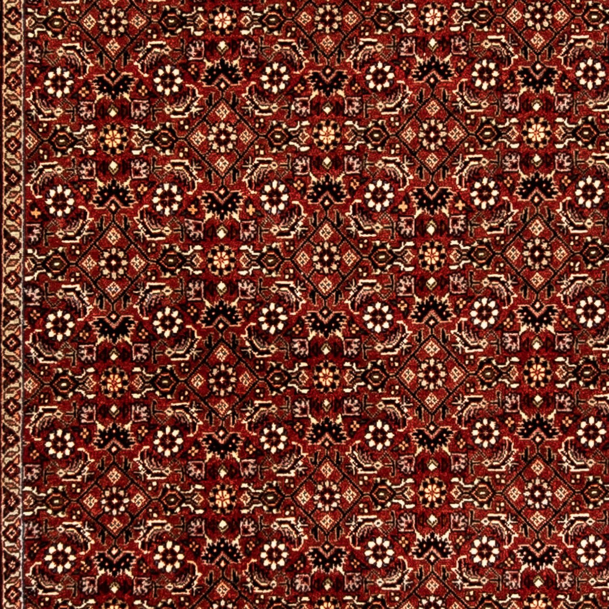 Loper Perzisch tapijt - Bijar - 298 x 83 cm - veelkleurig