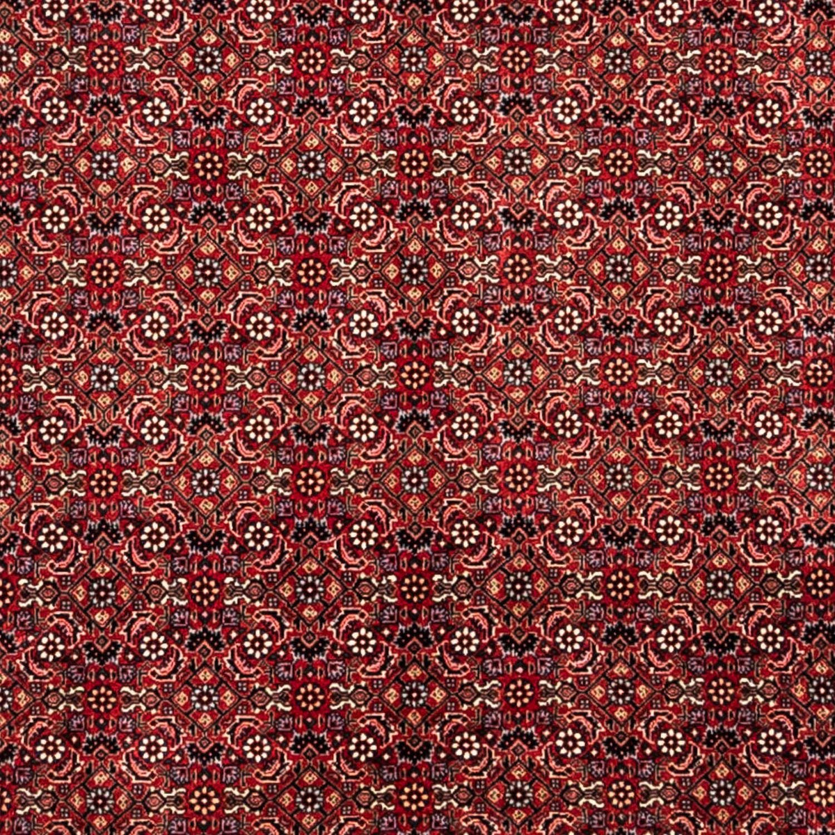 Perzisch tapijt - Bijar - Koninklijk - 350 x 252 cm - rood