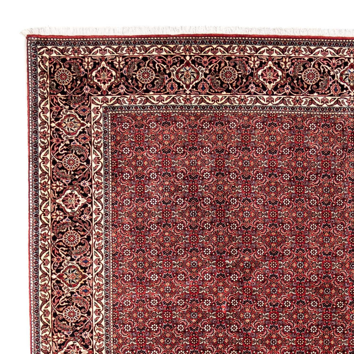 Perzisch tapijt - Bijar - Koninklijk - 350 x 252 cm - rood