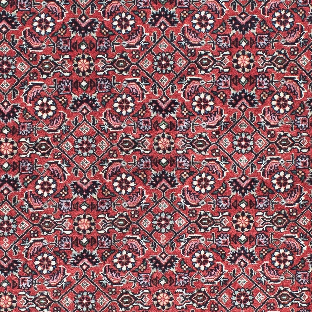 Loper Perzisch tapijt - Bijar - 193 x 76 cm - rood