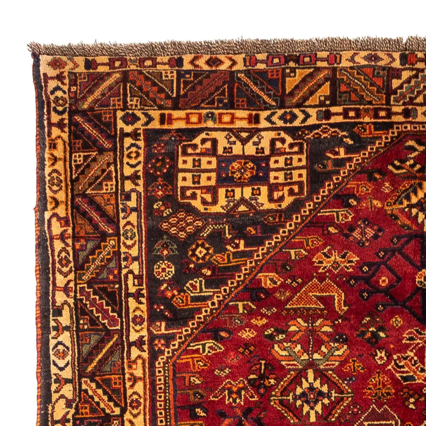 Shiraz Tapijt 270x163cm - Perzisch tapijt