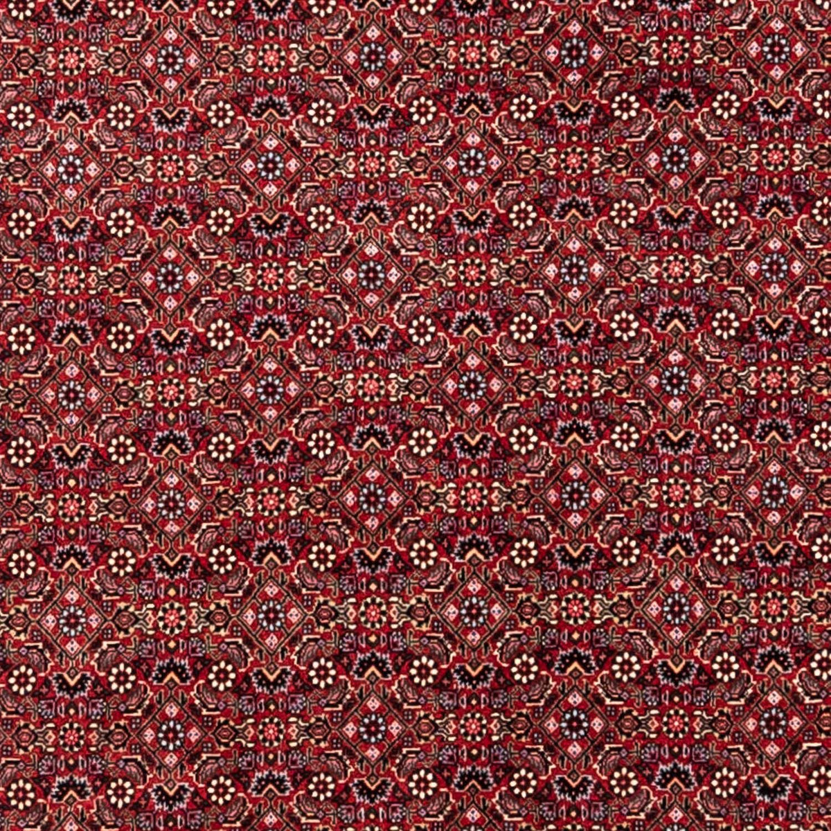 Perzisch tapijt - Bijar - Koninklijk - 338 x 252 cm - rood