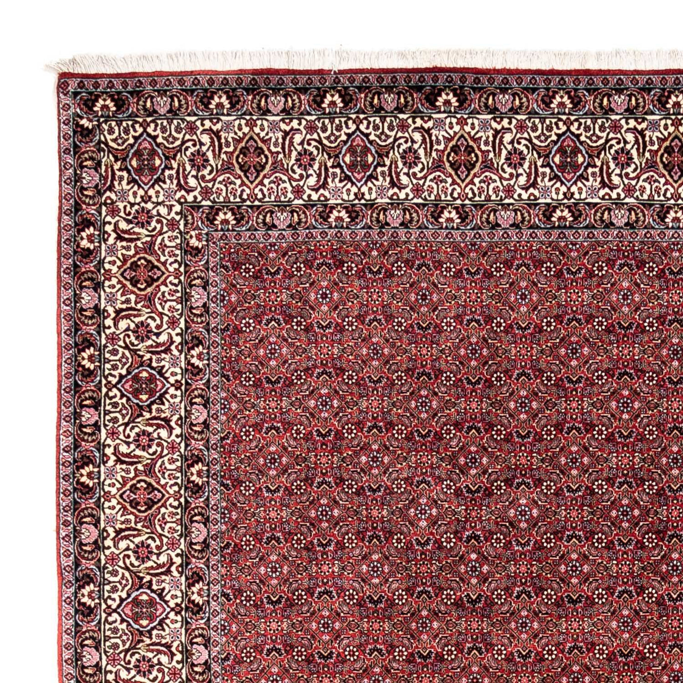 Bidjar - Takab Tapijt 338x252cm - Perzisch tapijt
