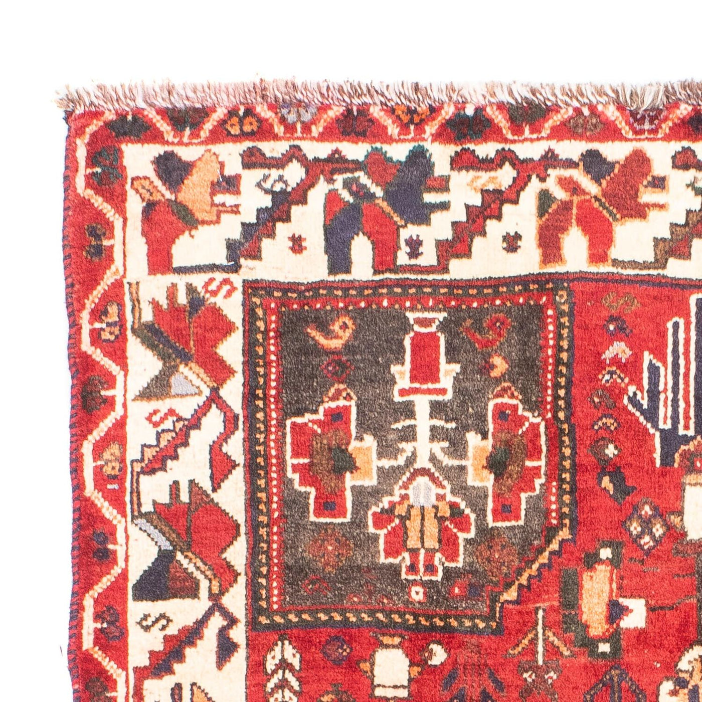 Shiraz Tapijt 160x110cm - Perzisch tapijt