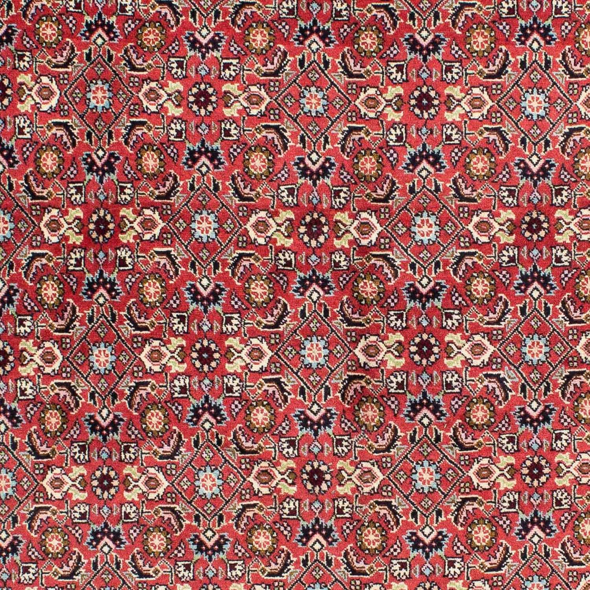 Perzisch tapijt - Bijar - 233 x 138 cm - rood
