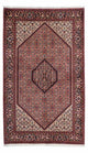 Bidjar - Zanjan Tapijt 235x140cm - Perzisch tapijt