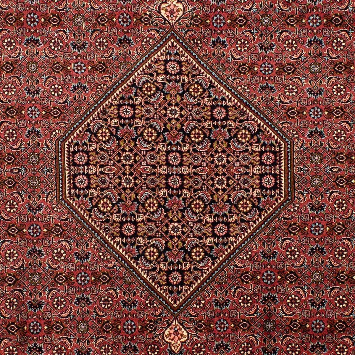 Perzisch tapijt - Bijar - 321 x 197 cm - bruin